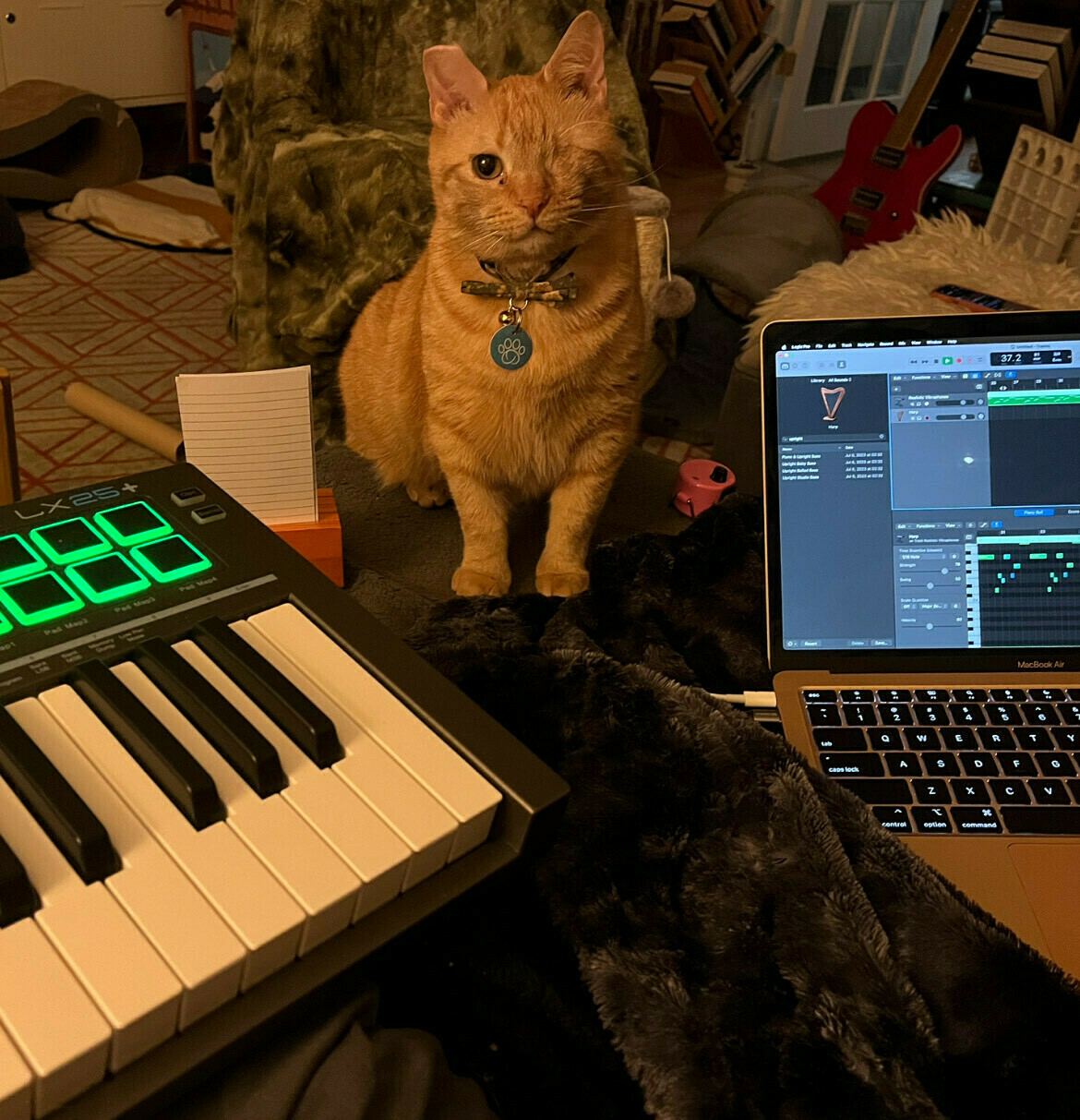 An orange tabby with one eye sits between a synthesizer keyboard and a laptop.
